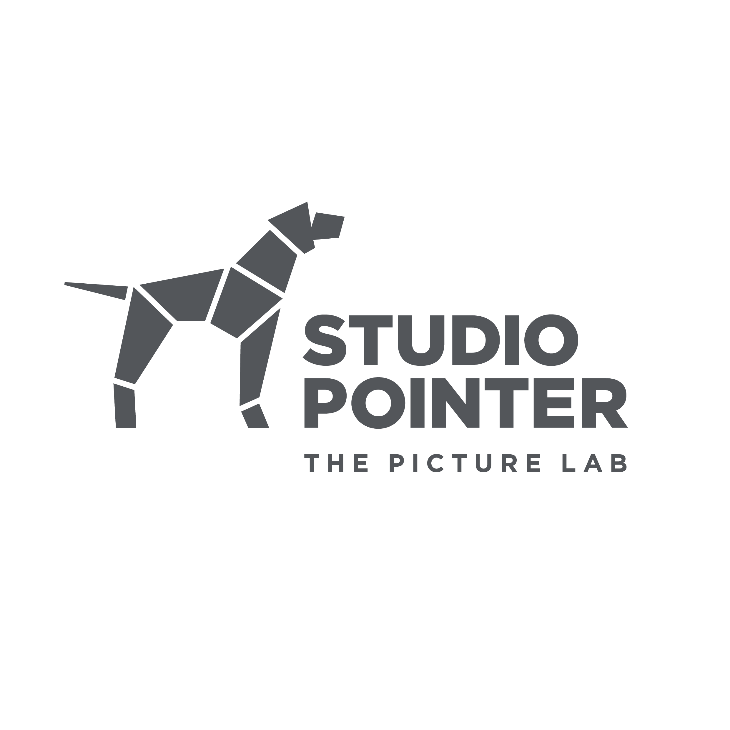 Studio Pointer